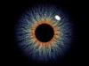 Every Eye Has a Hidden Blind Spot. Scientists Think It’ll Reveal the True Nature of Consciousness