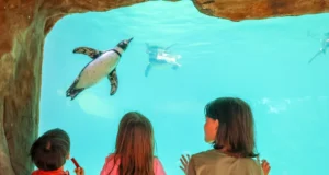 Roger Williams Park Zoo connects people to world around them