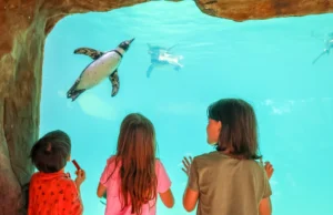 Roger Williams Park Zoo connects people to world around them