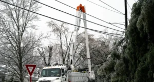 NES leaders announce next steps after full power restoration post Fern