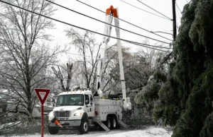 NES leaders announce next steps after full power restoration post Fern