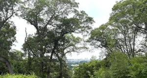 Highest point in Providence now on National Register of Historic Places